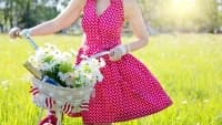 cyklistika red-bicycle-3498602 1280